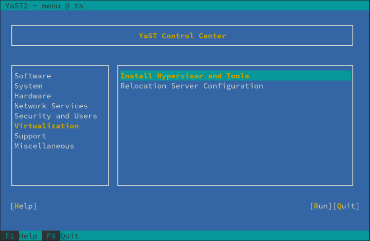 Image of YaST Install Hypervisor and Tools TUI