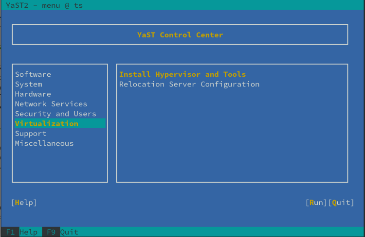 Image of YaST TUI with Virtualization